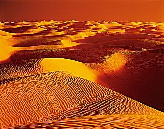 夏季游戏节2022今年6月回归 将有开幕式直播